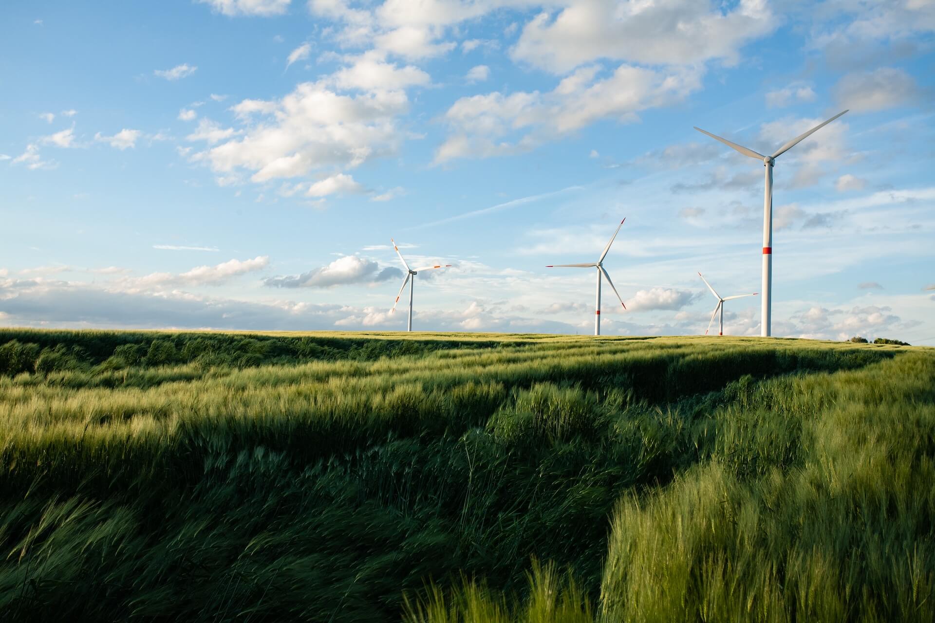Decarbonization Explained: Where Should Businesses Start?